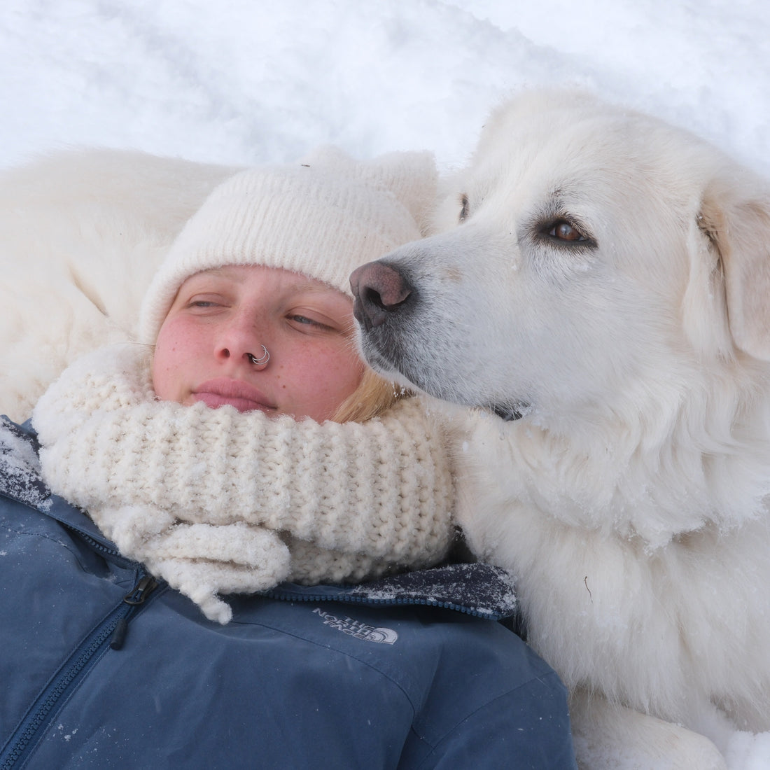 MoonTalker Monthly - April 2026