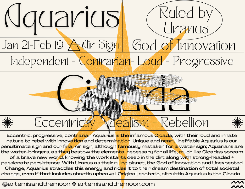 Zodiac Signs as Bugs Postcards