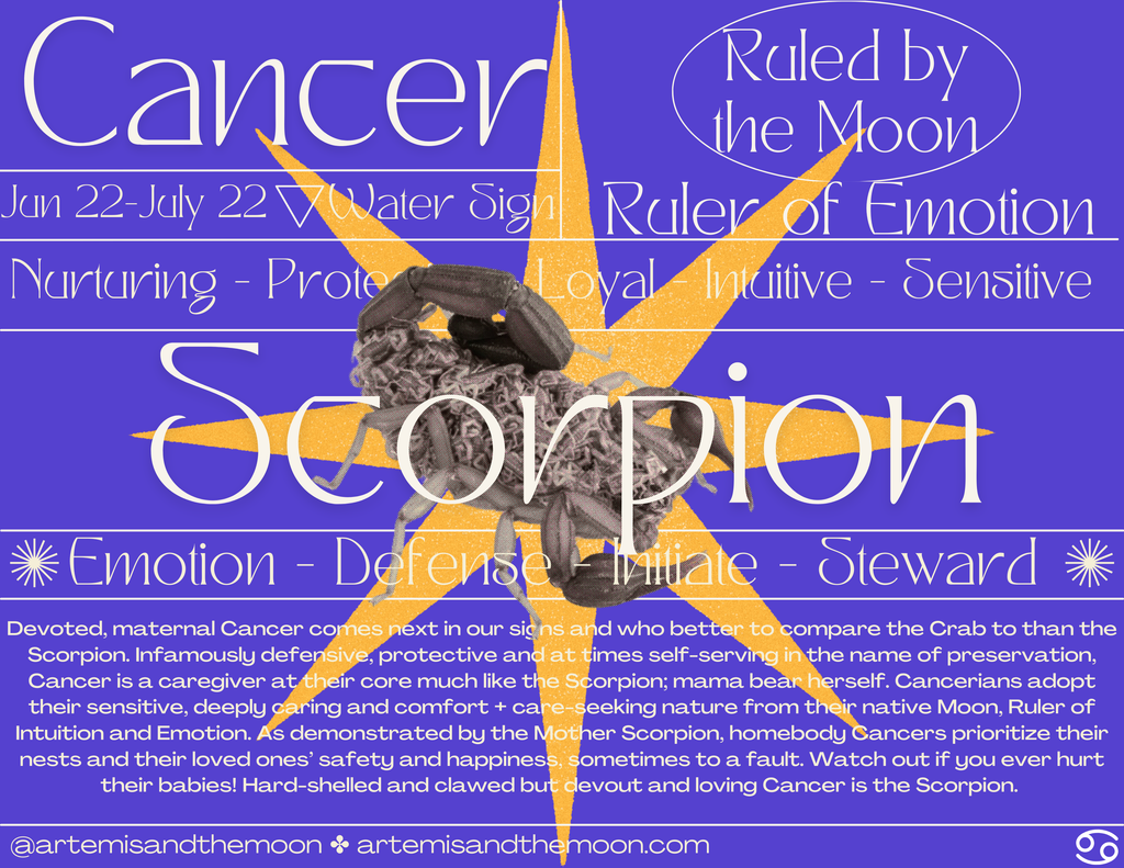 Zodiac Signs as Bugs Postcards