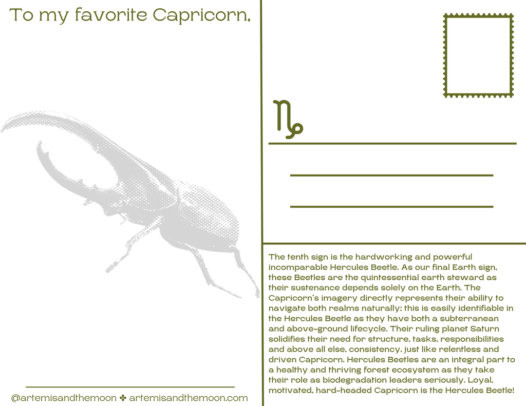 Zodiac Signs as Bugs Postcards