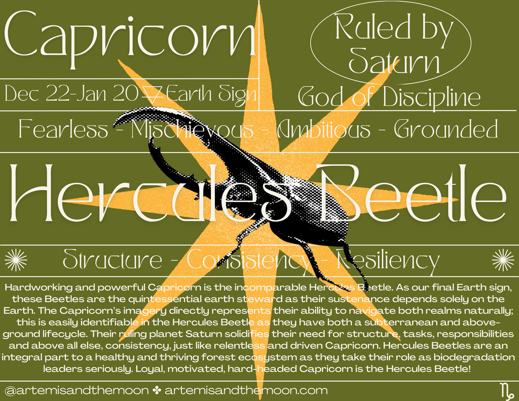 Zodiac Signs as Bugs Postcards