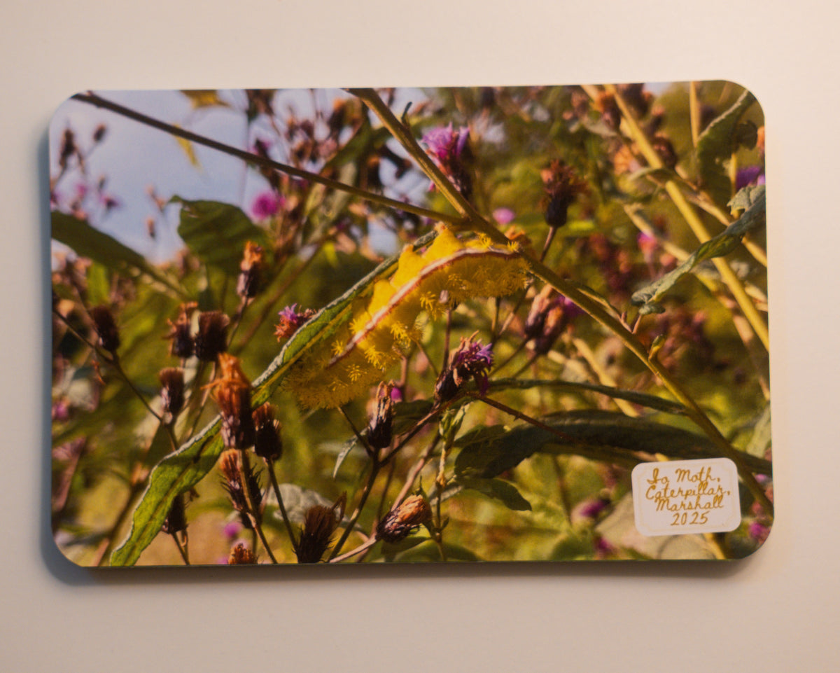North Carolina Post Cards