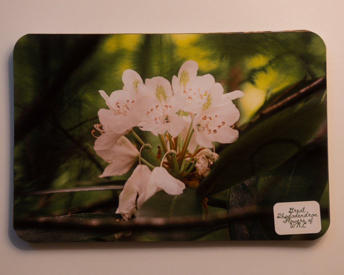 North Carolina Post Cards