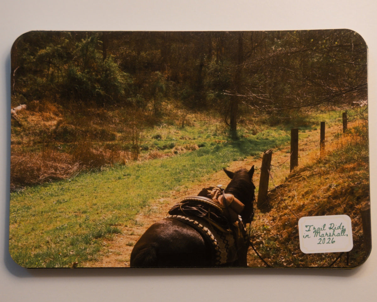 North Carolina Post Cards