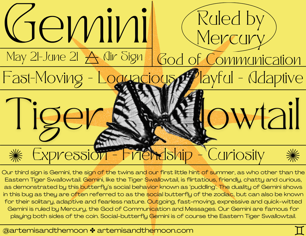 Zodiac Signs as Bugs Postcards