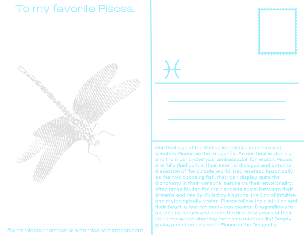 Zodiac Signs as Bugs Postcards