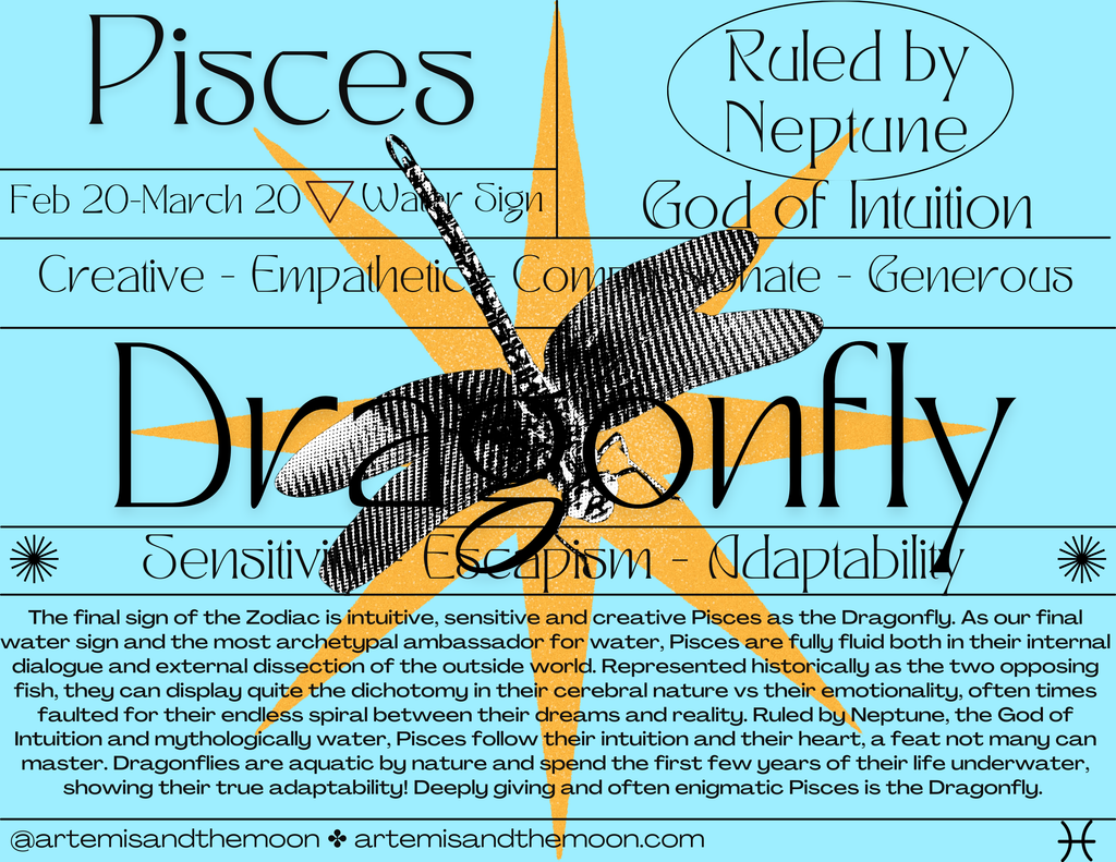 Zodiac Signs as Bugs Postcards