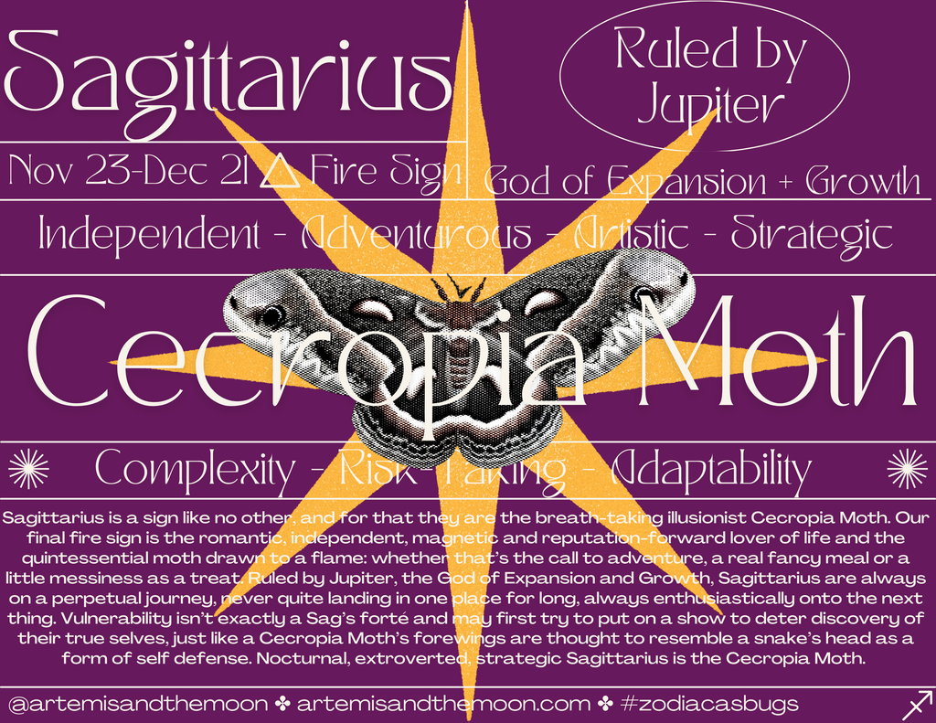 Zodiac Signs as Bugs Postcards