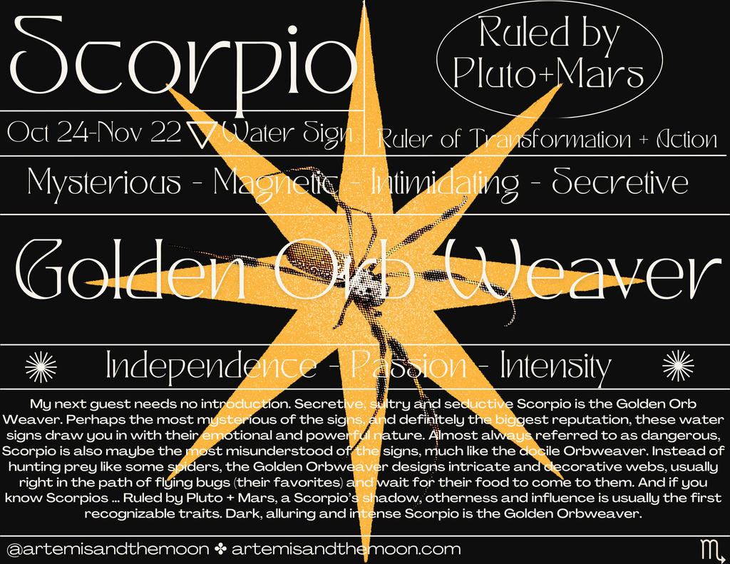 Zodiac Signs as Bugs Postcards