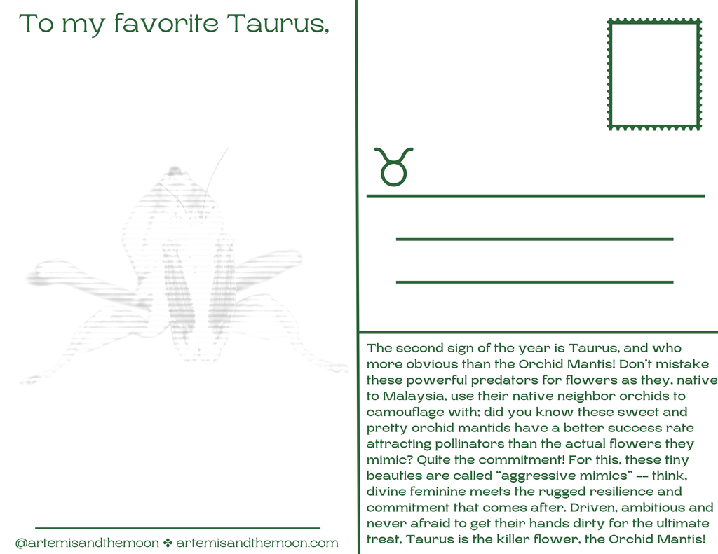 Zodiac Signs as Bugs Postcards