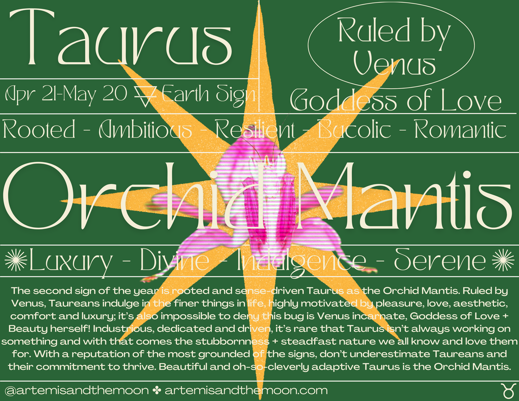 Zodiac Signs as Bugs Postcards