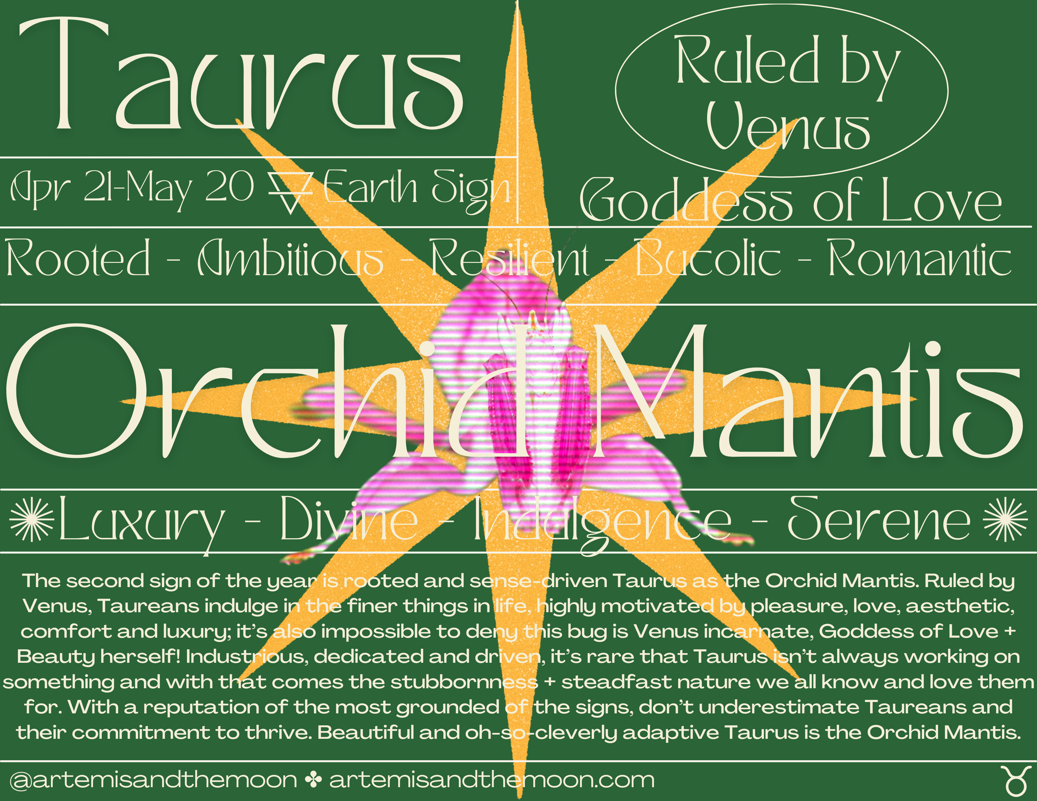 Zodiac Signs as Bugs Postcards