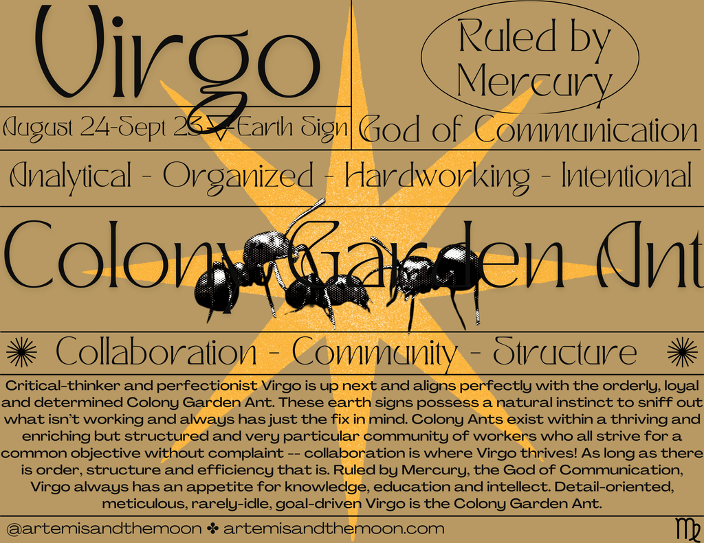 Zodiac Signs as Bugs Postcards