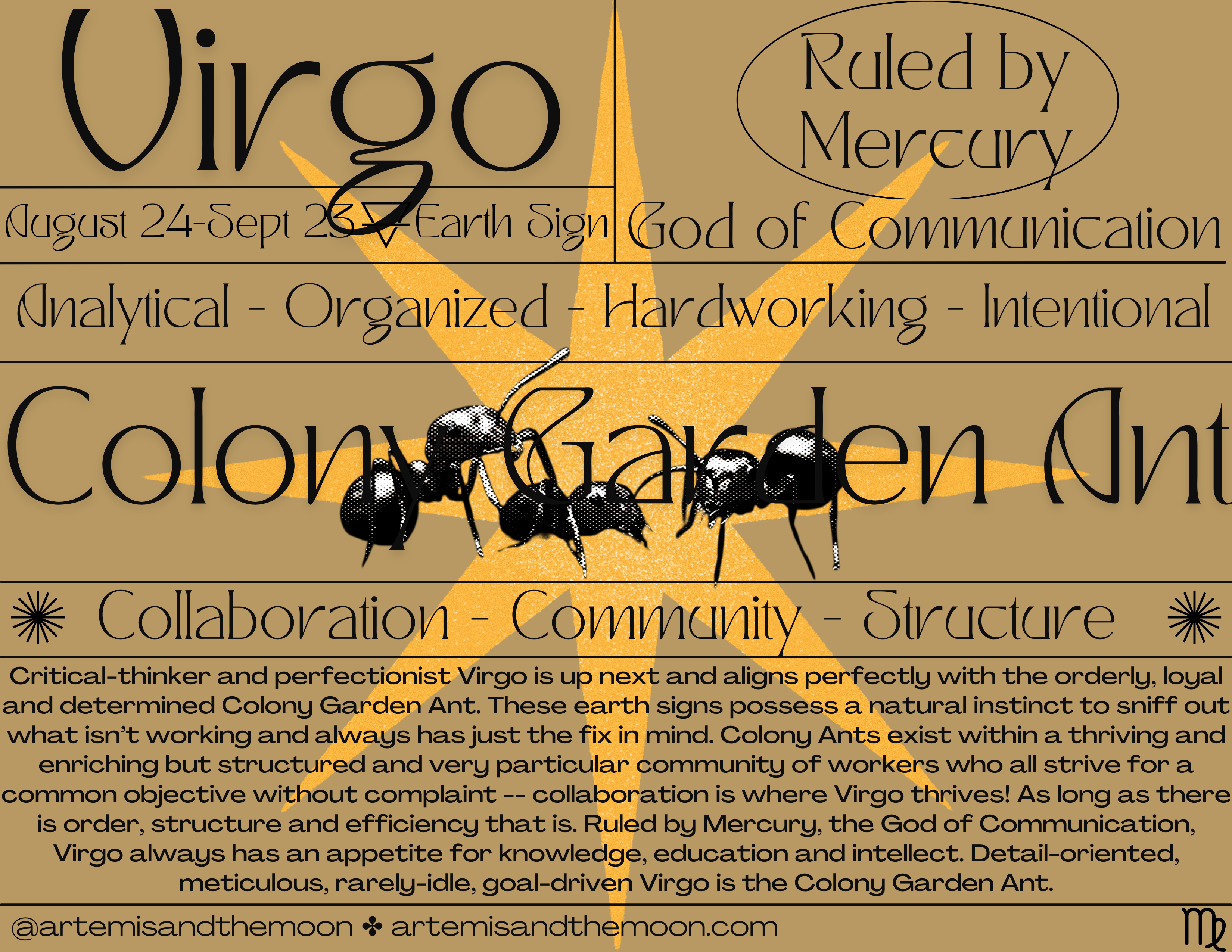 Zodiac Signs as Bugs Postcards