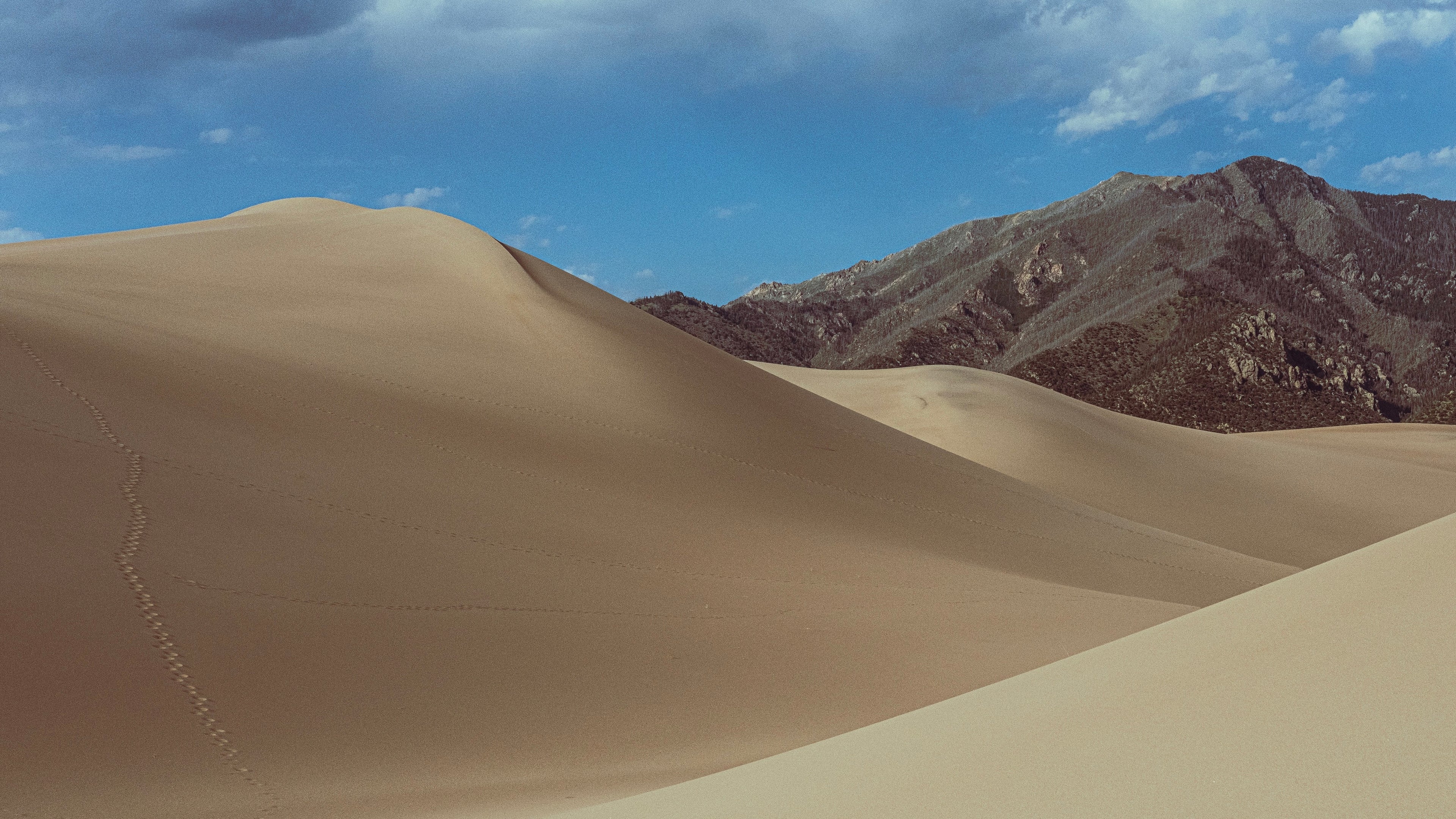 Great Sand Dunes and San de Cristo Mountains
